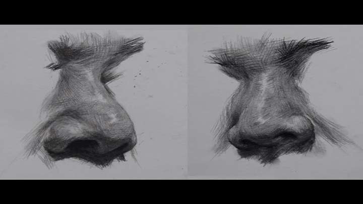 Basic Drawing How to Draw Nose