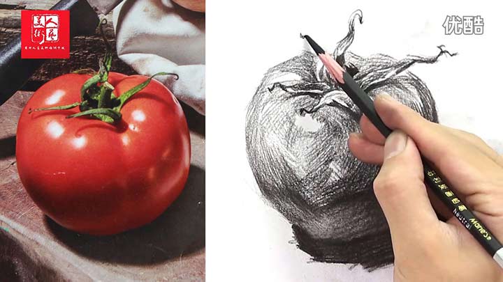 Basic Drawing How To Draw Tomatoes