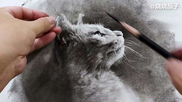 Drawing a realistic cat with charcoal