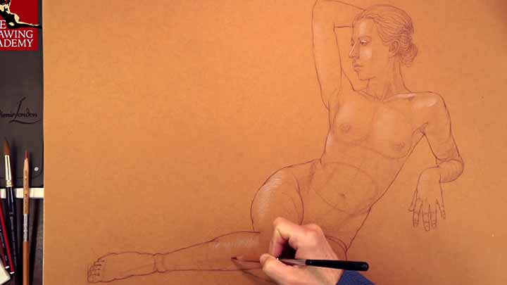 How to Draw a Female Model from Life