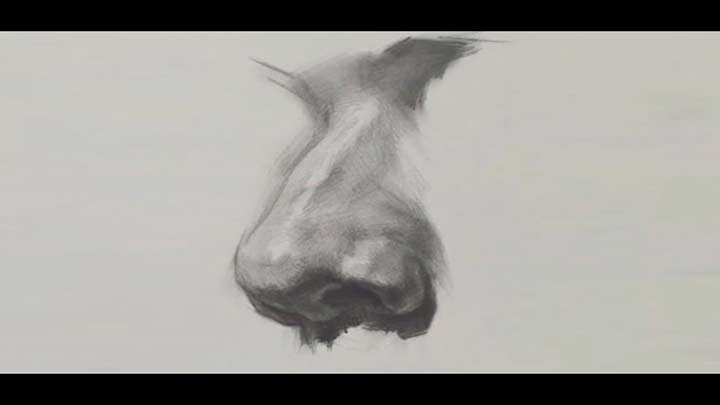 How to Draw a realistic Nose in graphite pencil