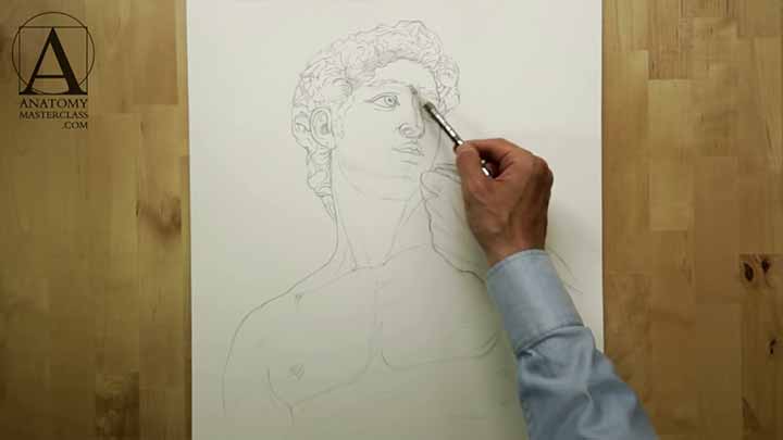 How to Draw Portraits - Anatomy Master Class