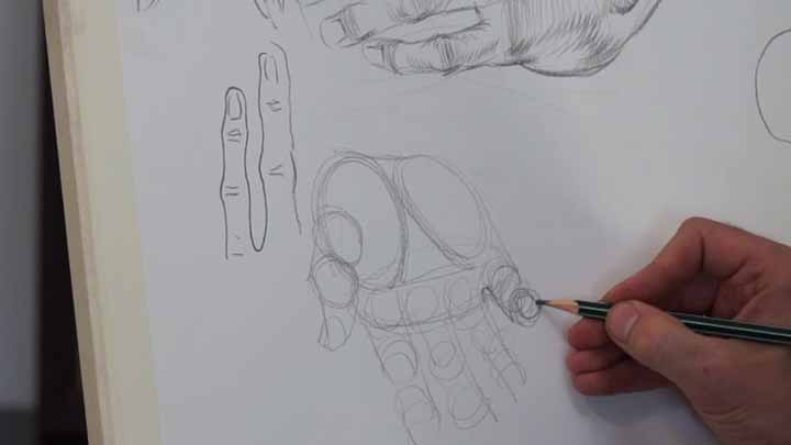 How to Draw Proportionate Hands