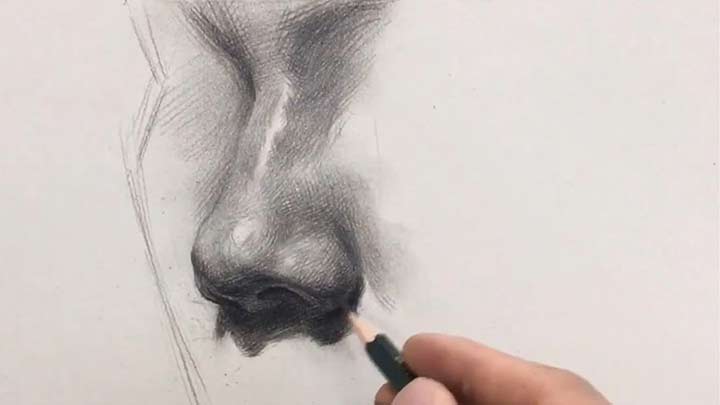 Learn to draw a Beautiful Nose with Charcoal pencil