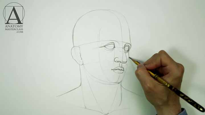 Proportions of the Head - Anatomy Master Class for figurative artists