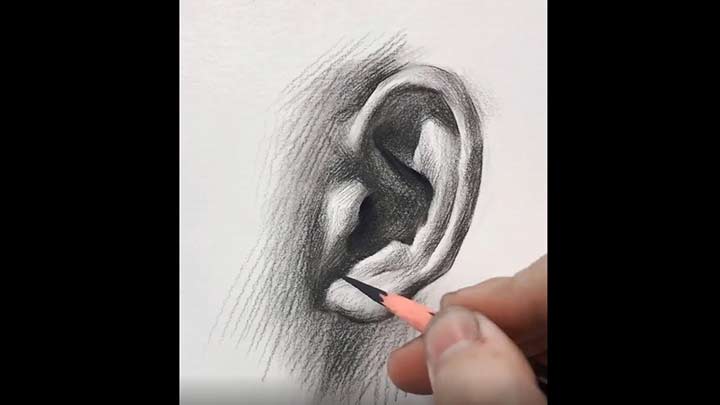 You can use this technique to Draw an Ear